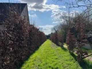 Bouwgrond te Overijse 26a83ca Rustige locatie Nabij Brussel Leuven