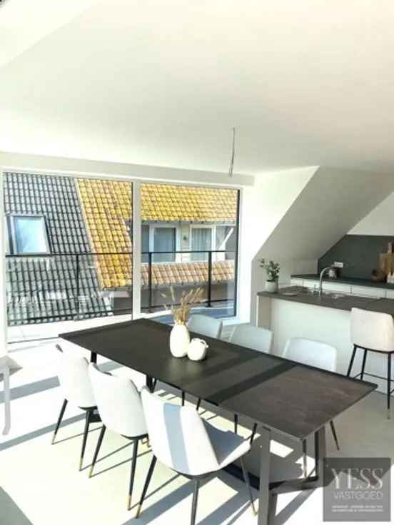 Penthouse Te Koop