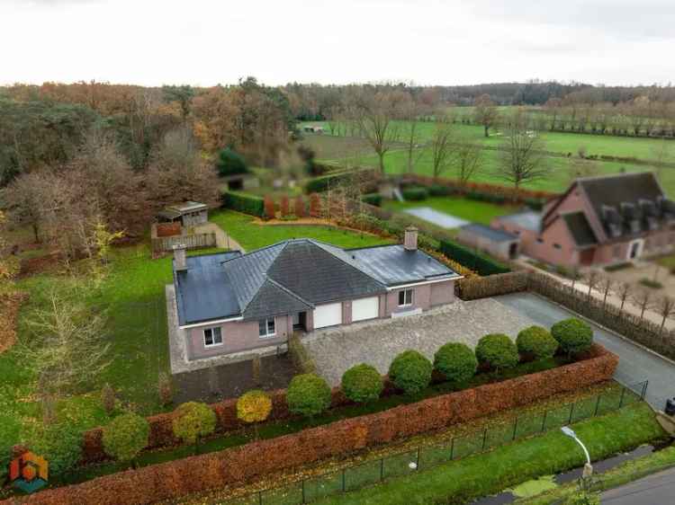 Gelijkvloerse kangoeroewoning met 3 slpkrs op ruim perceel (3314m²) te Putte