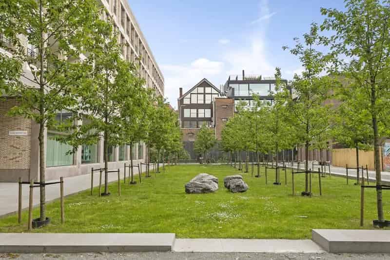 Antwerpen Handelsruimte Falconhoven Mezzanine