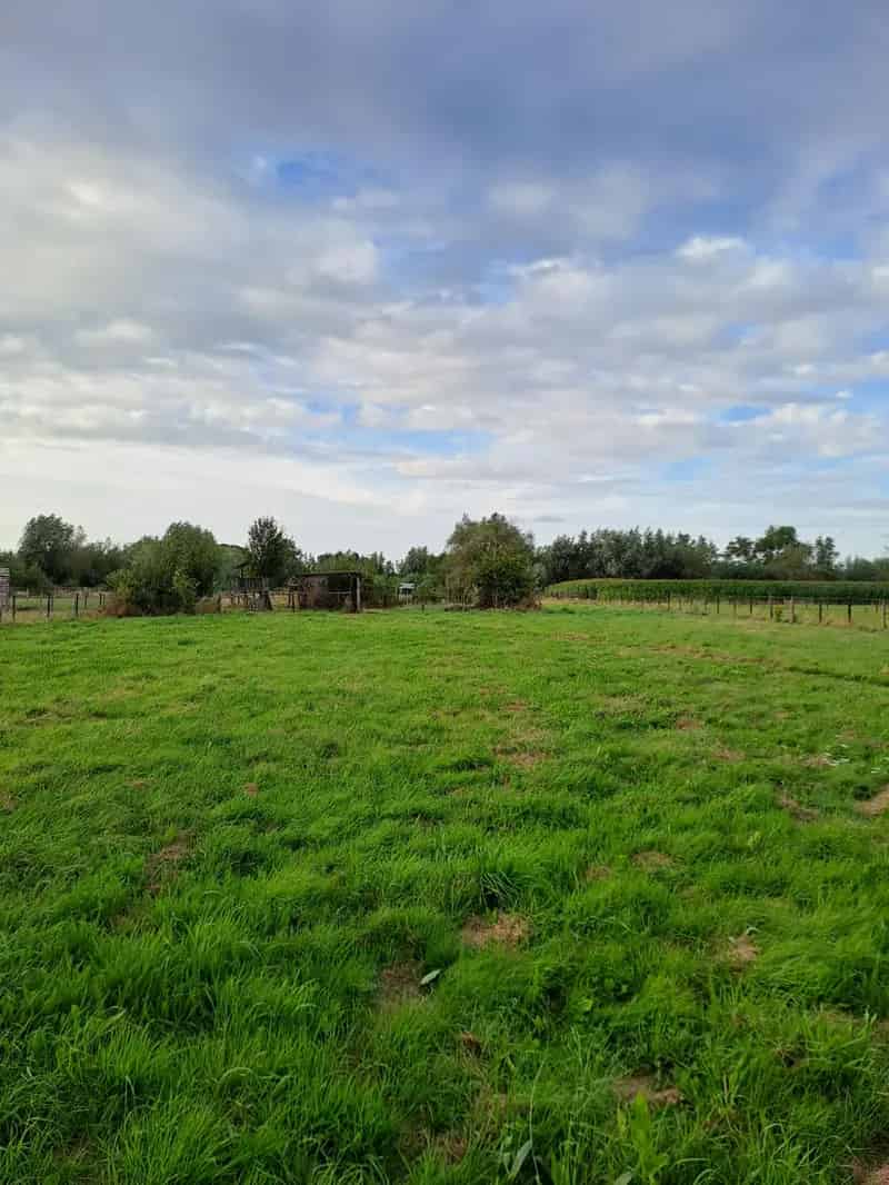 Weide te koop 3859 m2 Paarden Paddock Paradise Laarne