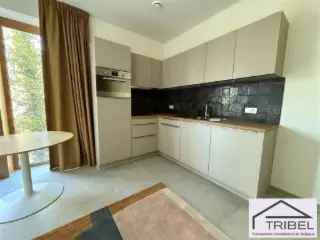 Studio te huur Watermaal-Bosvoorde - 45m² - Gemeubileerd