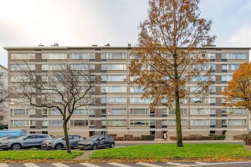 Appartement te koop Merksem nabij Maantjessteenweg