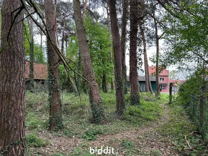 Rustige Vrijstaande Woning te Wolfsdonk met 4 slaapkamers