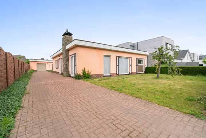 Huis te koop De Pinte te renoveren