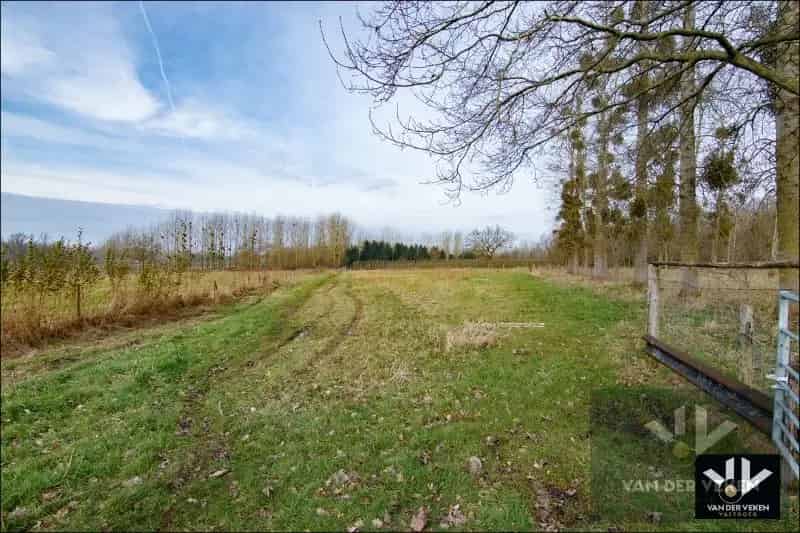 Landbouwgrond te koop Wellen 11,5 hectare