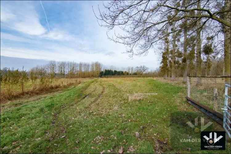 Landbouwgrond te koop Wellen 11,5 hectare