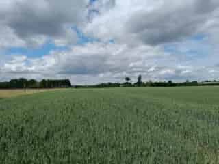 Landbouwgrond te Koop Asse 2ha