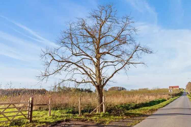 Unieke kans: kom wonen op de flank van Tiegemberg.