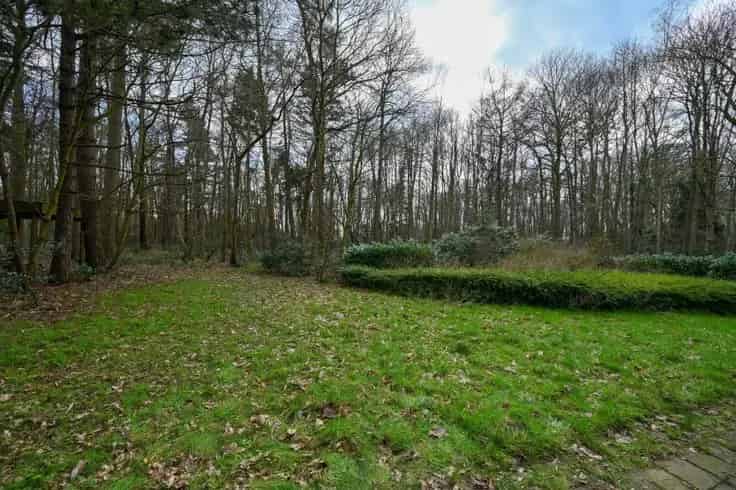 Villa-Perceel 8615m² te Varsenare Jabbeke Nieuwbouw of Renovatie