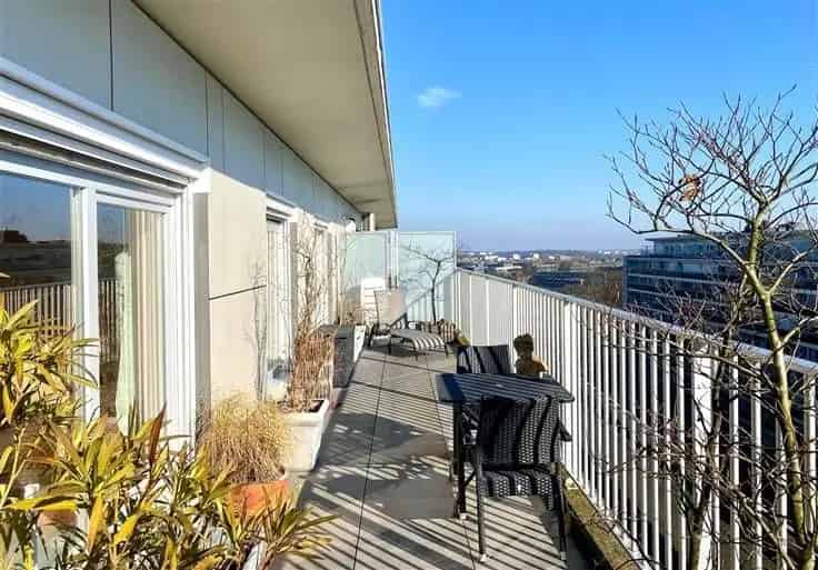 Dakappartement Te Koop Rustige Buurt