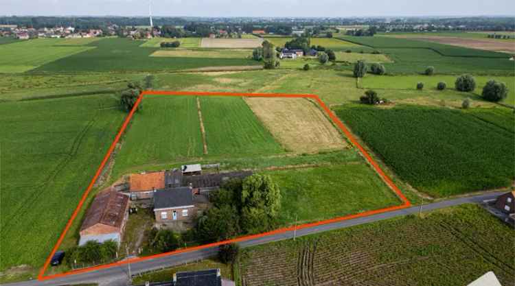 Te Renoveren Authentieke Hoeve met bijgebouwen in oase van groen en prachtige vergezichten