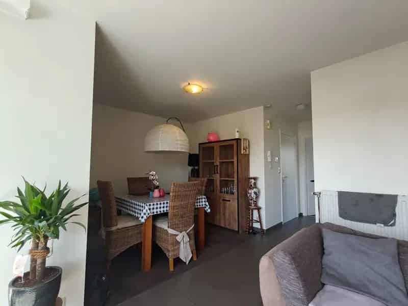 Dakappartement met terras te Lokeren