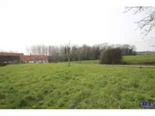 Handelspand te koop - Frasnes-lez-Buissenal VBD17097