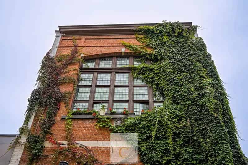 Handelspand Brugge 3 slaapkamers 250m² gerenoveerd