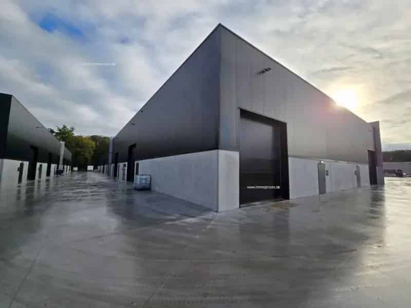 Nieuwbouw Industrieel Gebouw te Huur Buggenhout