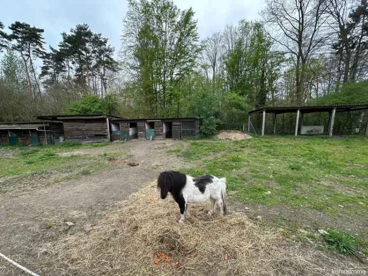 Te renoveren villabungalow in Oud-Heverlee