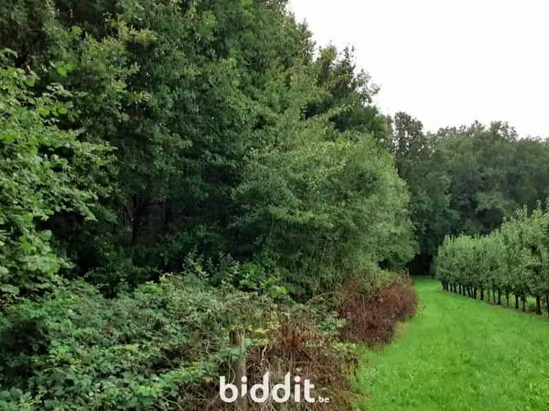 PERCEEL BOS BEKKEVOORT LOT 1