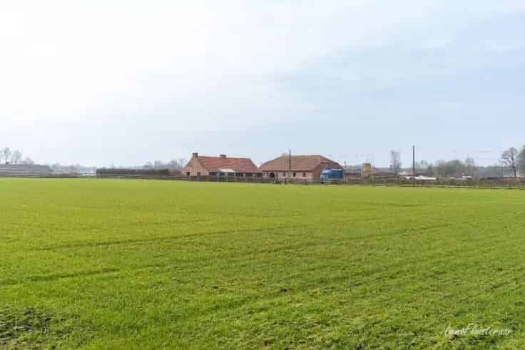 Huis Te Koop Hippische Accommodatie 9 Boxen Zwembad