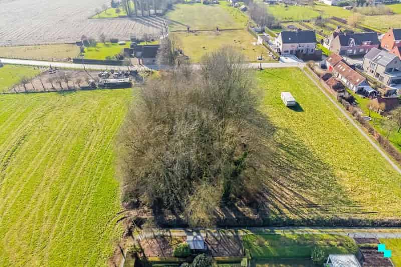 Bouwgrond Schelderode: Rust, Groen en Bouwmogelijkheden