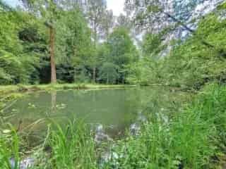 Bosgrond te koop Mussy-la-Ville 1ha45a50ca