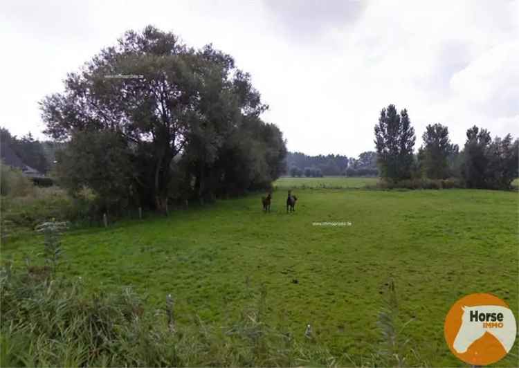 Recreatiegrond te Koop Mespelare Dendermonde