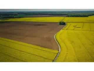 Landbouwgrond te koop Chièvres 4031 ha
