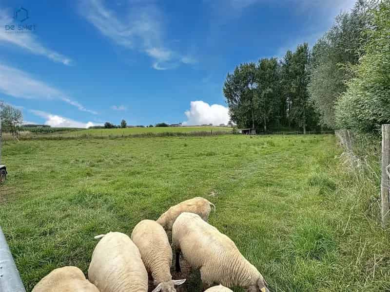 TE KOOP Weide 31a30ca Lierde Rustig gelegen