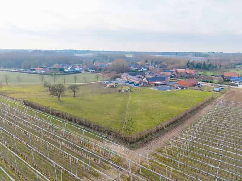 Gerenoveerde Vierkantshoeve met Wellness te Heers