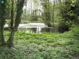 Grond te koop Heppignies 8698m² natuurgebied