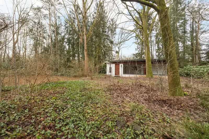 Weekendgrond te koop Lille Wechelderzande 7100m2