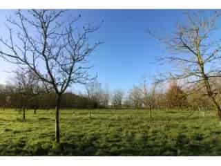 Landbouwgrond te koop Opwijk 69a03ca