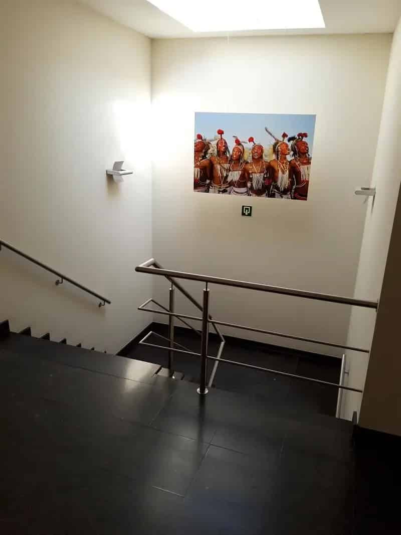 Magazijn Kantoren Toonzaal te Huur Aartselaar