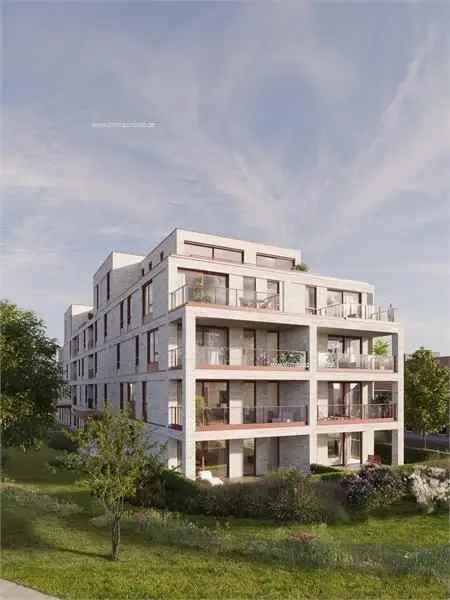 Nieuwbouw appartement te koop in Roeselare