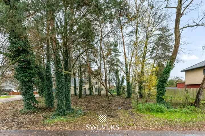 Bouwgrond Koersel 10a 33ca Groene omgeving Rustig Nabij Scholen Winkels