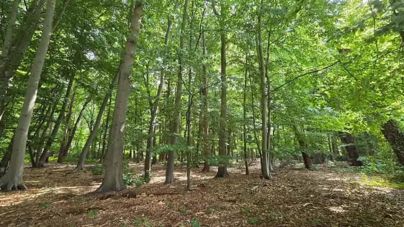Bouwgrond Kapellen 5003m² Open Bebouwing