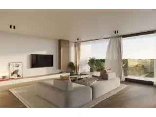 Pullaire Ruisbroek Project