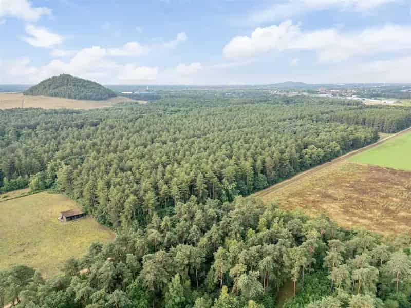 Bosgrond Grote Heide Oudsbergen