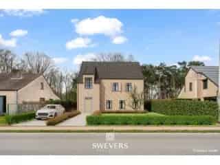Bouwgrond te koop Ham Tessenderlo 16a 62ca