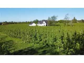 Villa te koop Hasselt - Gezinswoning met grote tuin en verpachte grond
