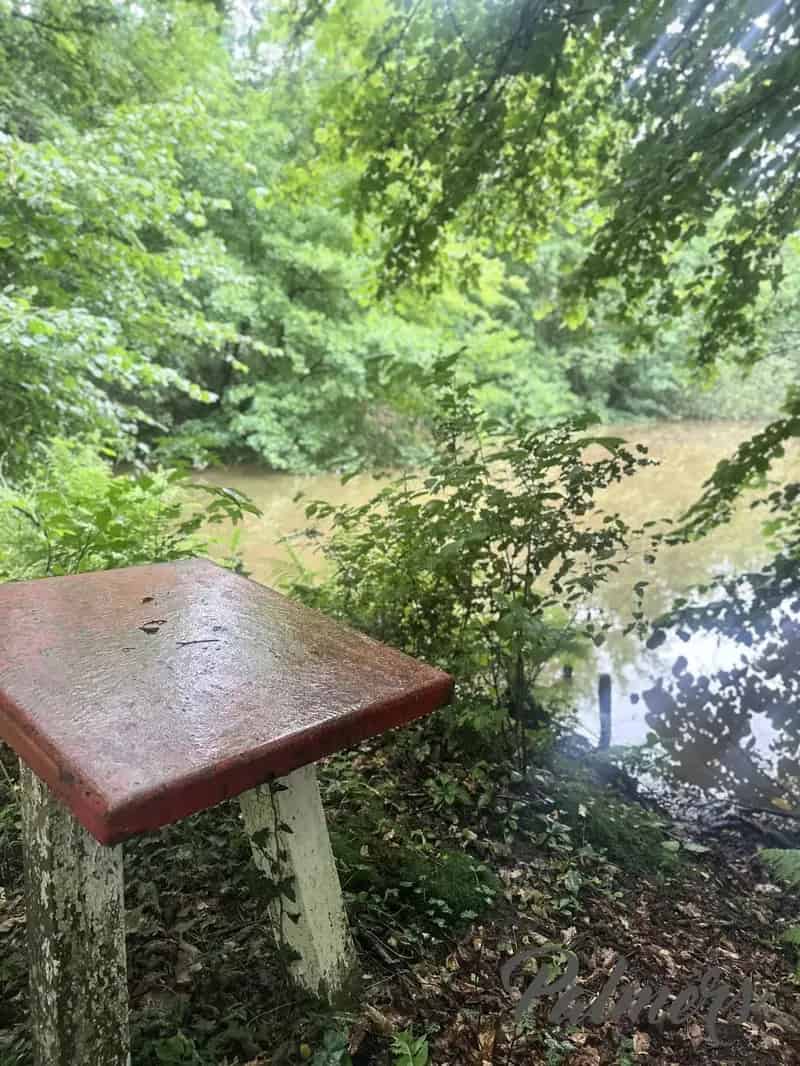 Instapklaar Wonen in het Groen Comfort en Ruimte