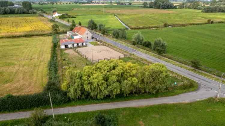 Grond te koop in Diksmuide met weilanden en instapklare stallingen