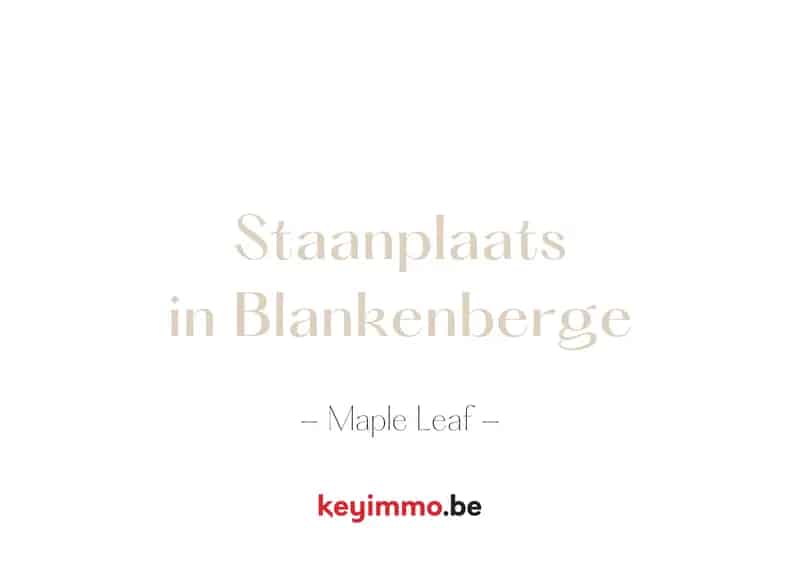 Garage te Huur Blankenberge Centrum Maple Leaf