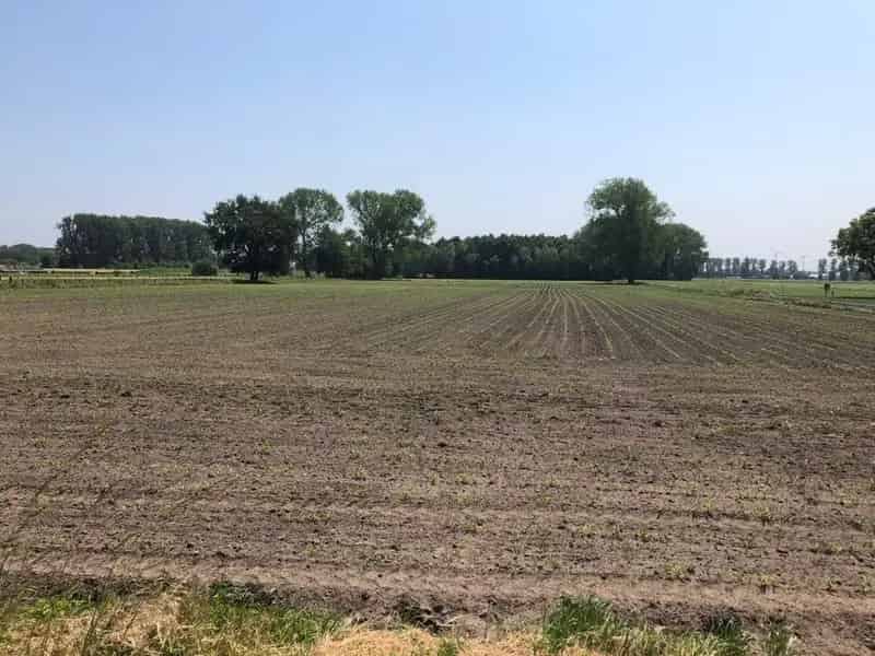 Bouwgrond Lokeren: Unieke Villapercelen met Prachtig Uitzicht