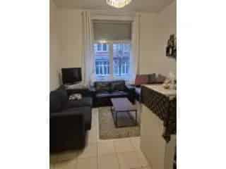 Huis Gemengd Gebruik Te Koop Anderlecht