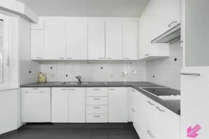 Ruim appartement Zuid 2 slaapkamers 8503334