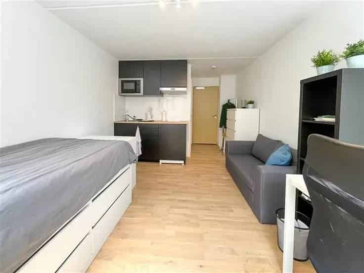 Gerenoveerde Studio Leuven Centrum 21m2