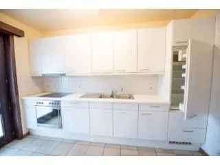 Gelijkvloers Appartement te Huur Dentergem