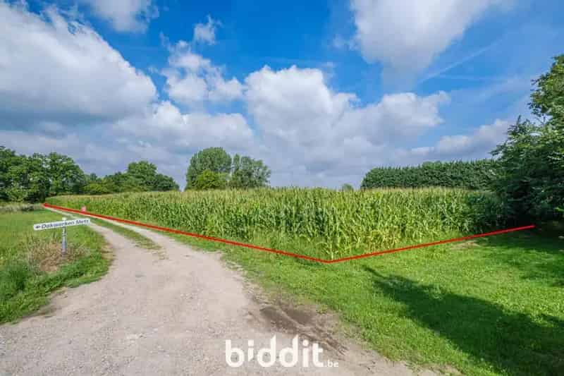 Landbouwgrond te Putte 15832m2