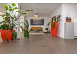 Handelspand te koop Dendermonde 1660m²